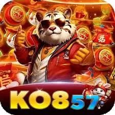 ko857 - Elektronik APK